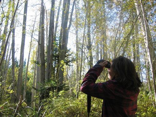 A child looks through binoculars at birds as part of a Nature Studies program.